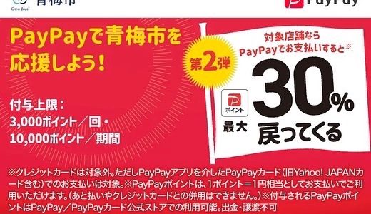 Pay Payキャンペーン&臨時休業のお知らせ♪