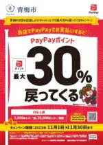 11/1(水)〜30(木) Pay Pay最大30%還元キャンペーン♪